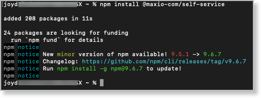 im_npm_install_command.png